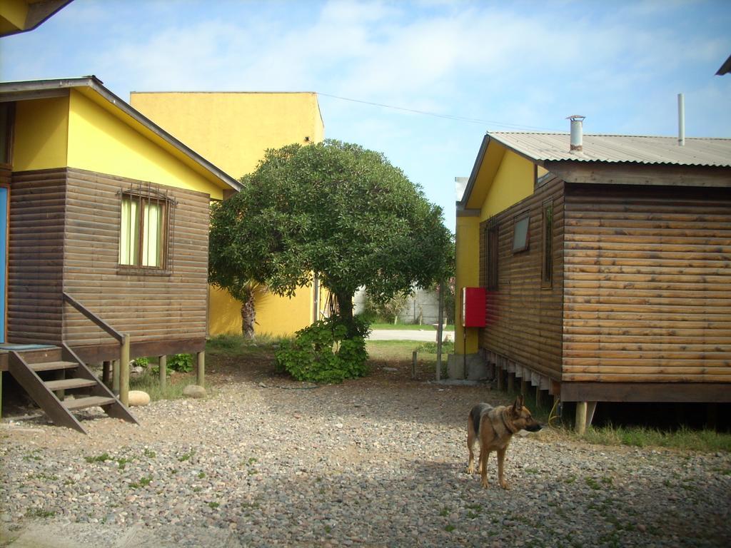 Cabanas Caleta San Pedro La Serena Exterior foto